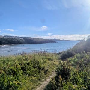 Porth Island. Trevelgue Head 