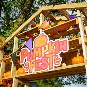 Pumpkin Fest at Camel Creek