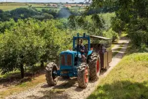 Tractor ride at Healeys Cyder Farm, Cornwall